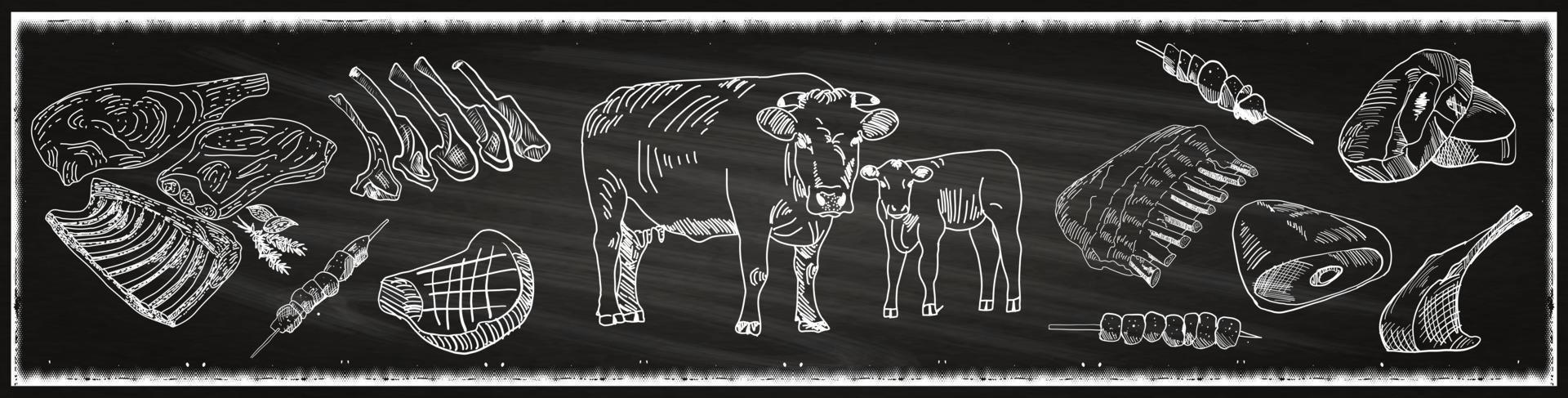 Butcher shop blackboard banner with cows and meat vector