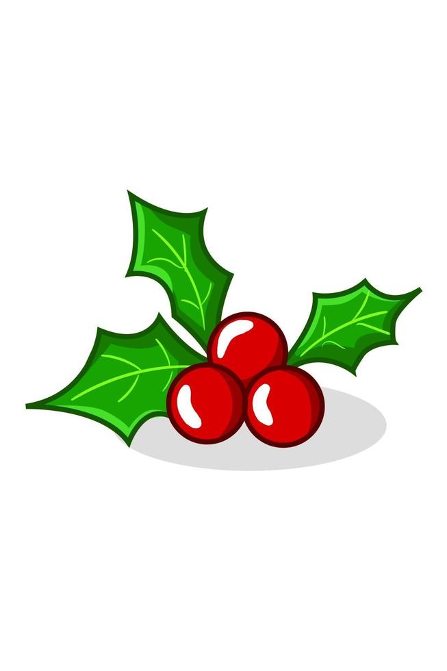 Holly leaves illustration vector