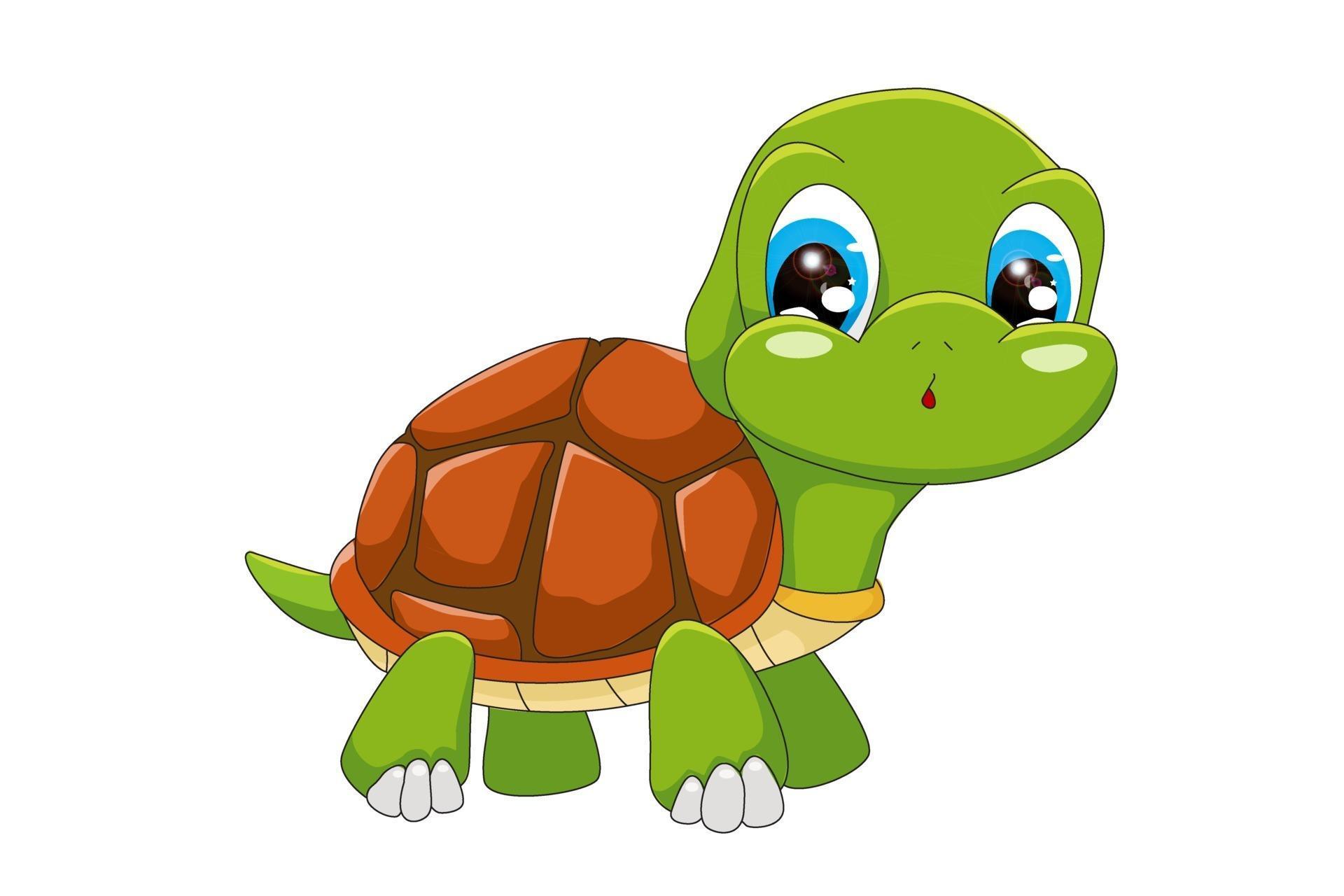 A little cute baby turtle with blue eyes, design animal cartoon vector