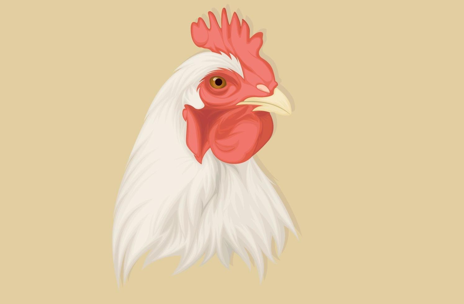 dibujo realista a mano de ilustración de pollo vector