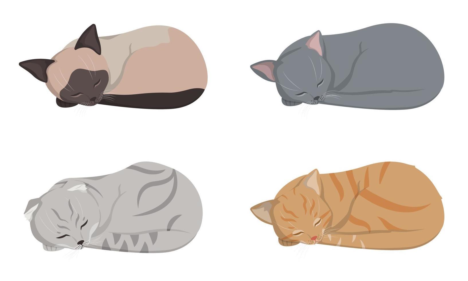 Sleeping different cats. vector