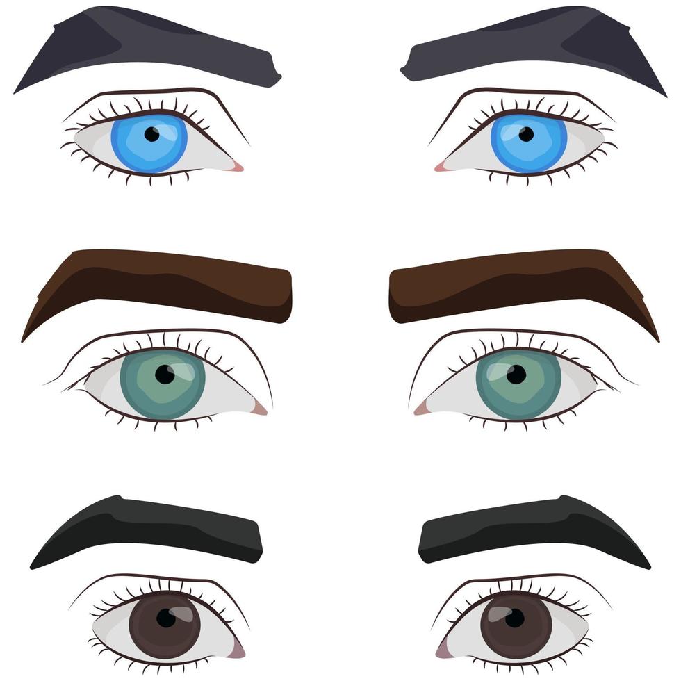 Set of male eyes. vector