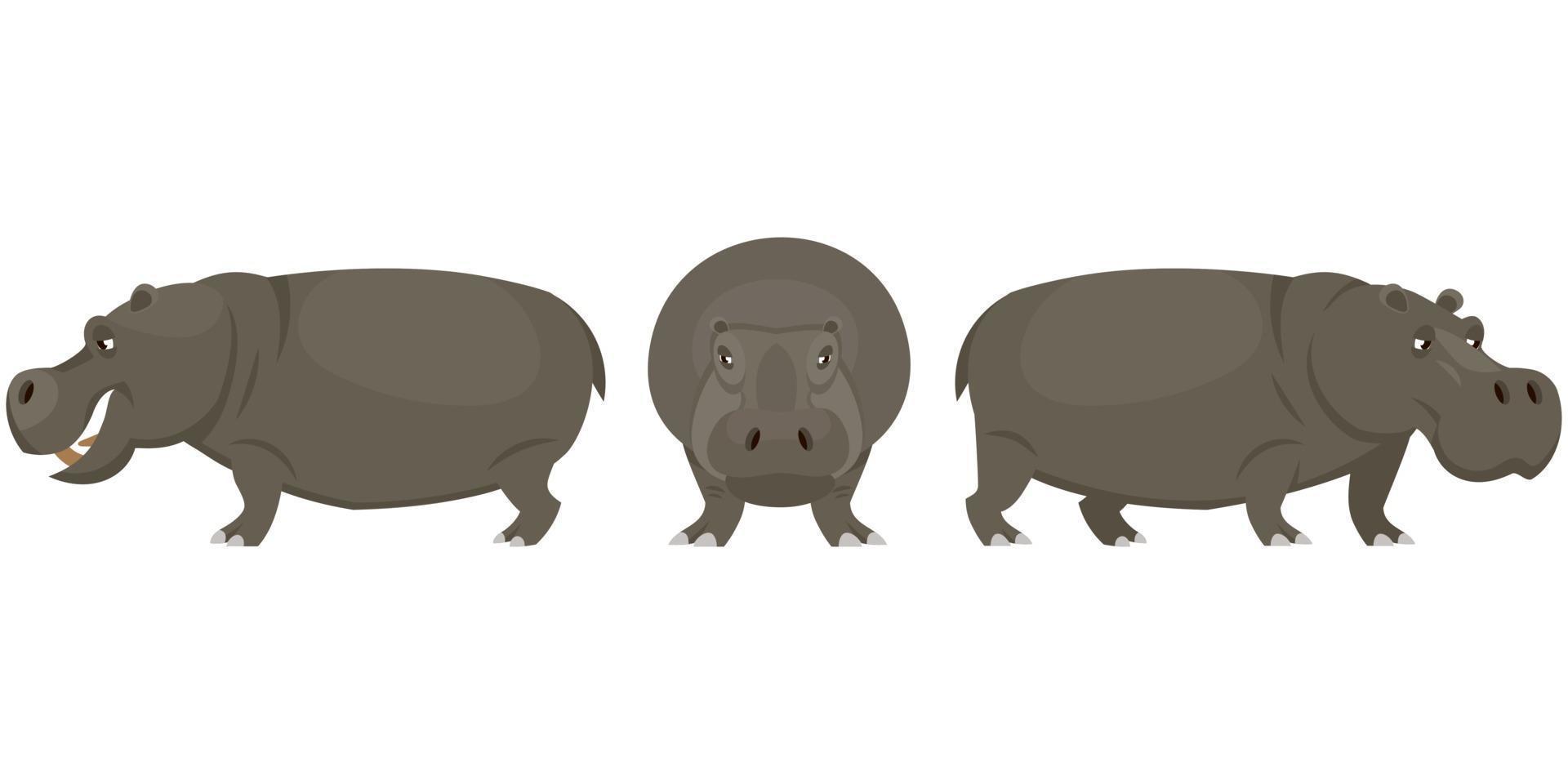 Hippopotamus in different poses. vector