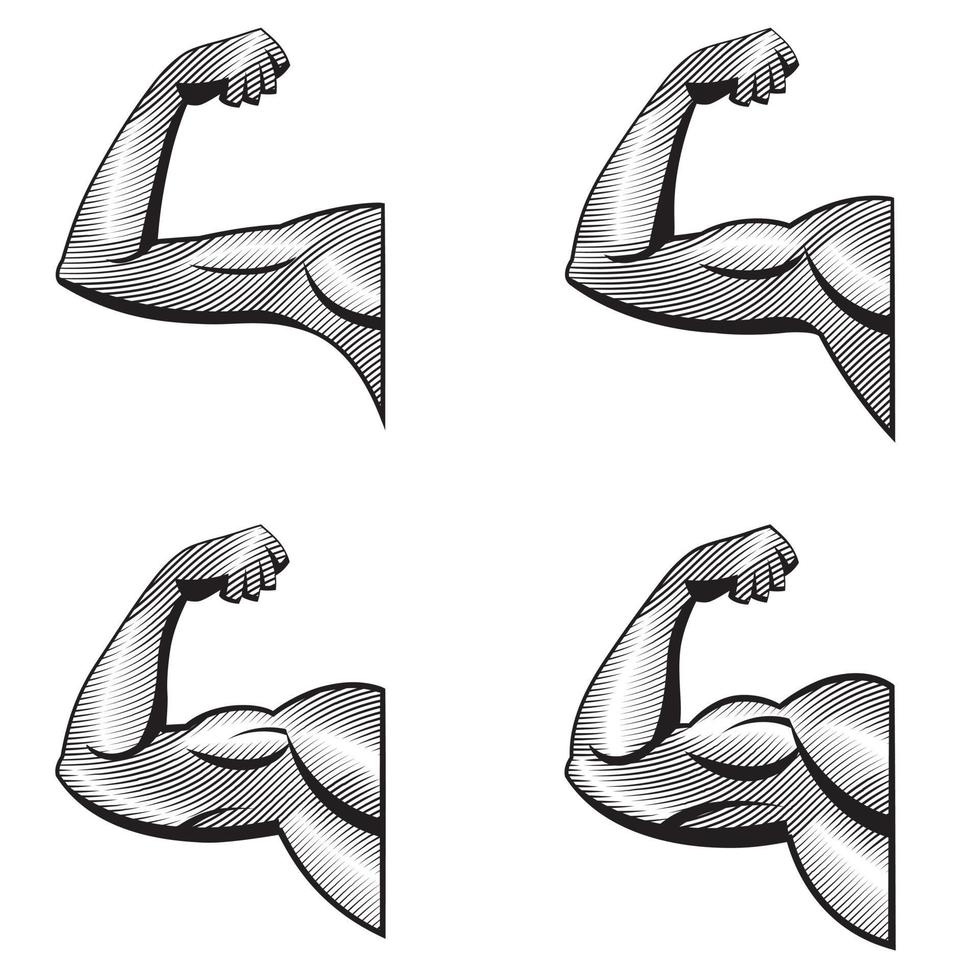 Different arms with contracted biceps. Illustration of muscles in engraving style. vector