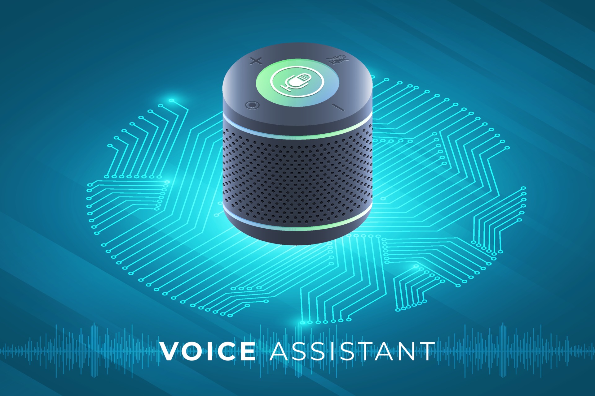 Voice Assistant. Things voice
