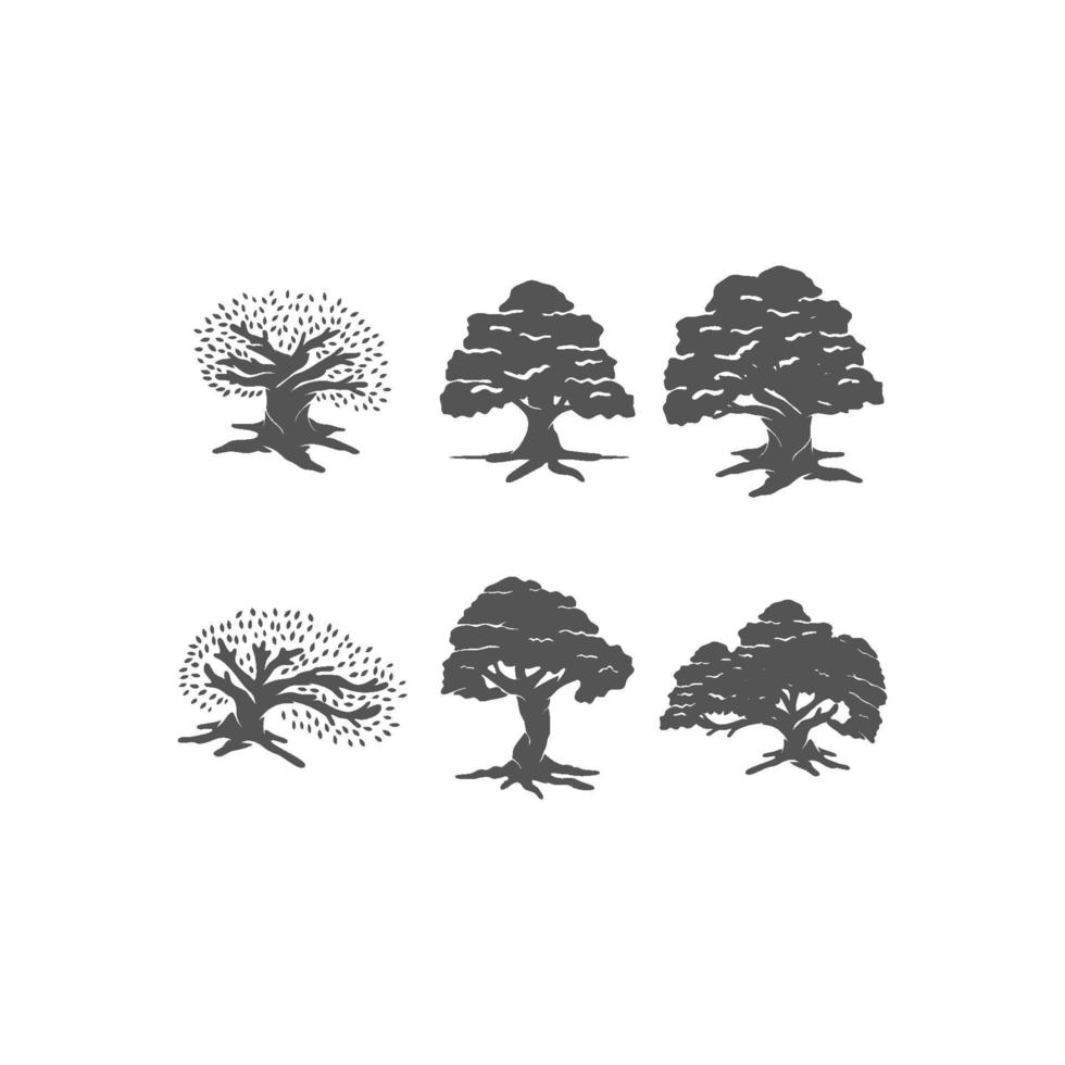 conjunto de idea de concepto de ilustración de árbol de roble vector