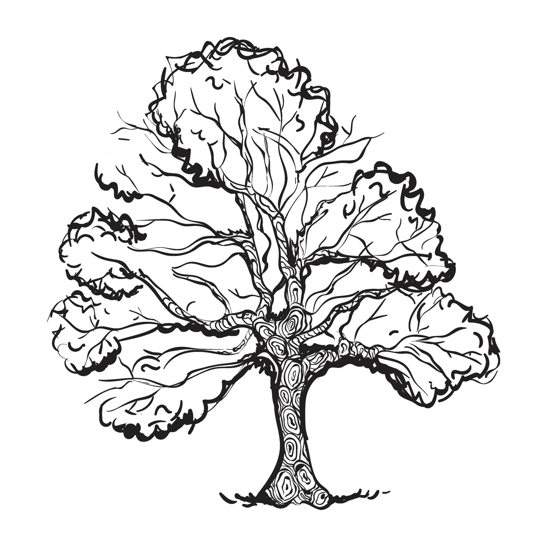 Discover 73+ oak tree drawing best xkldase.edu.vn