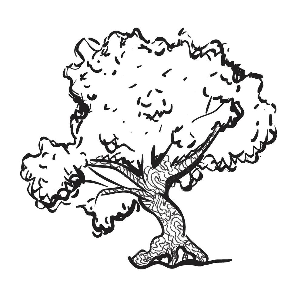 Oak Tree Drawing vector