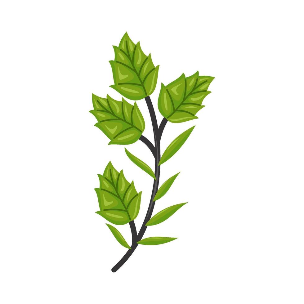 Hand drawn tree branches Green leaves Vector