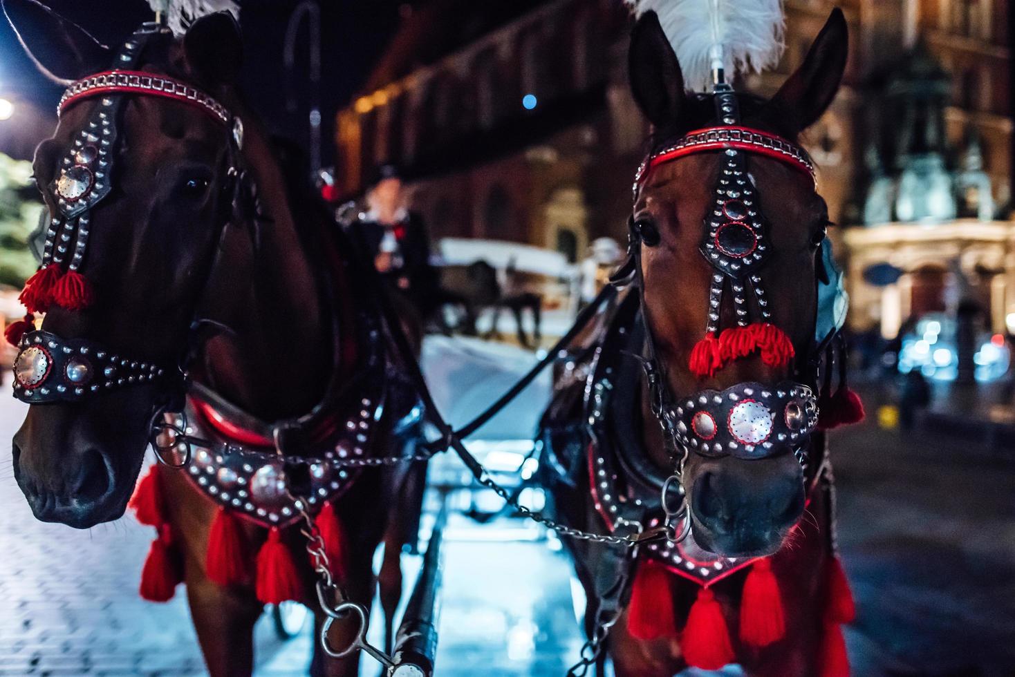 Krakow, Poland 2017- The old square of the night in Krakow with horse-drawn carriages photo