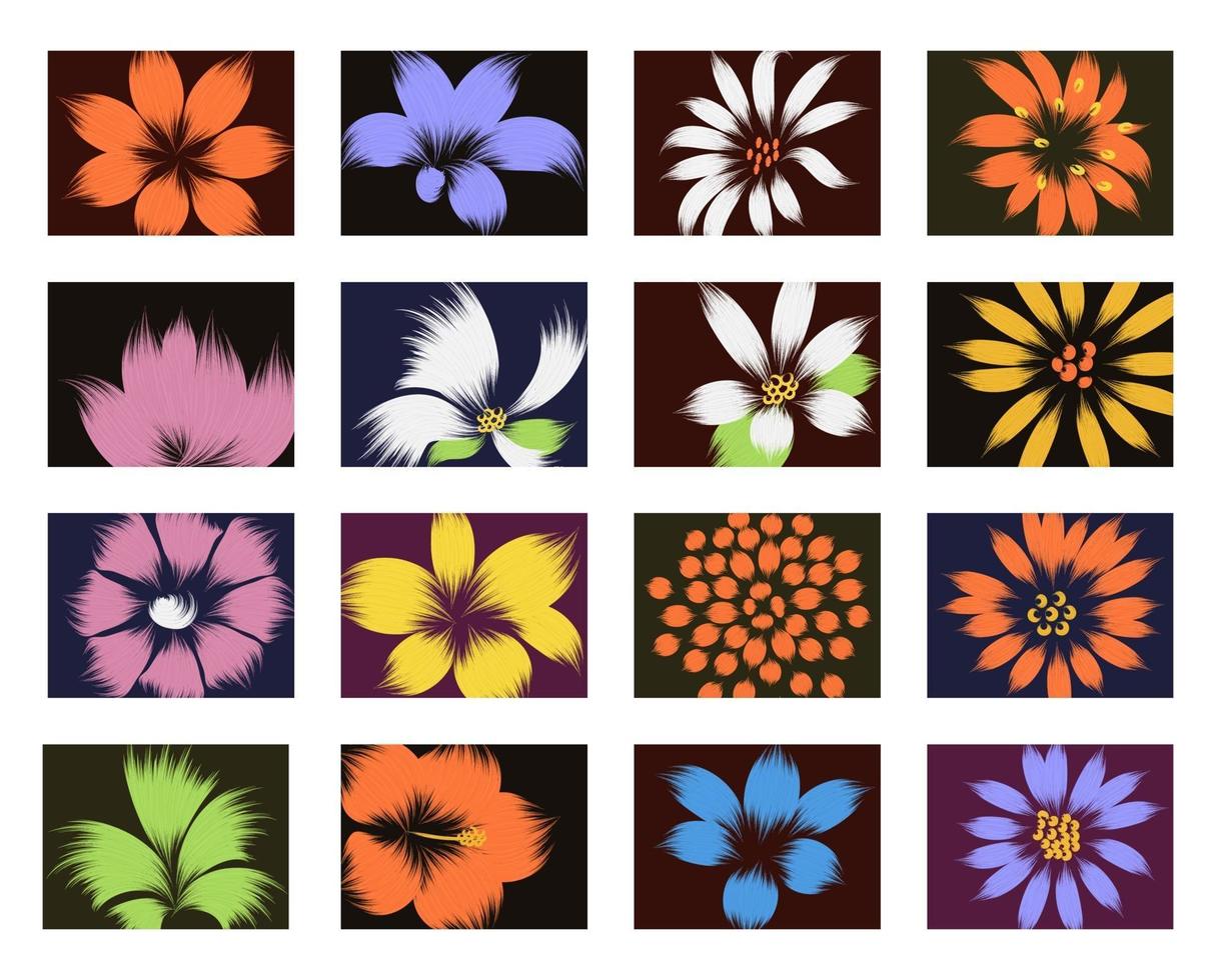 Floral Illustration Backgrounds vector