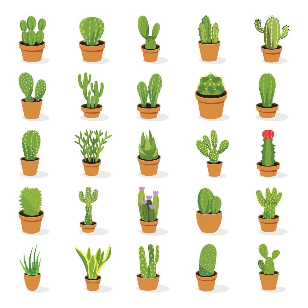 plantas de cactus en maceta vector