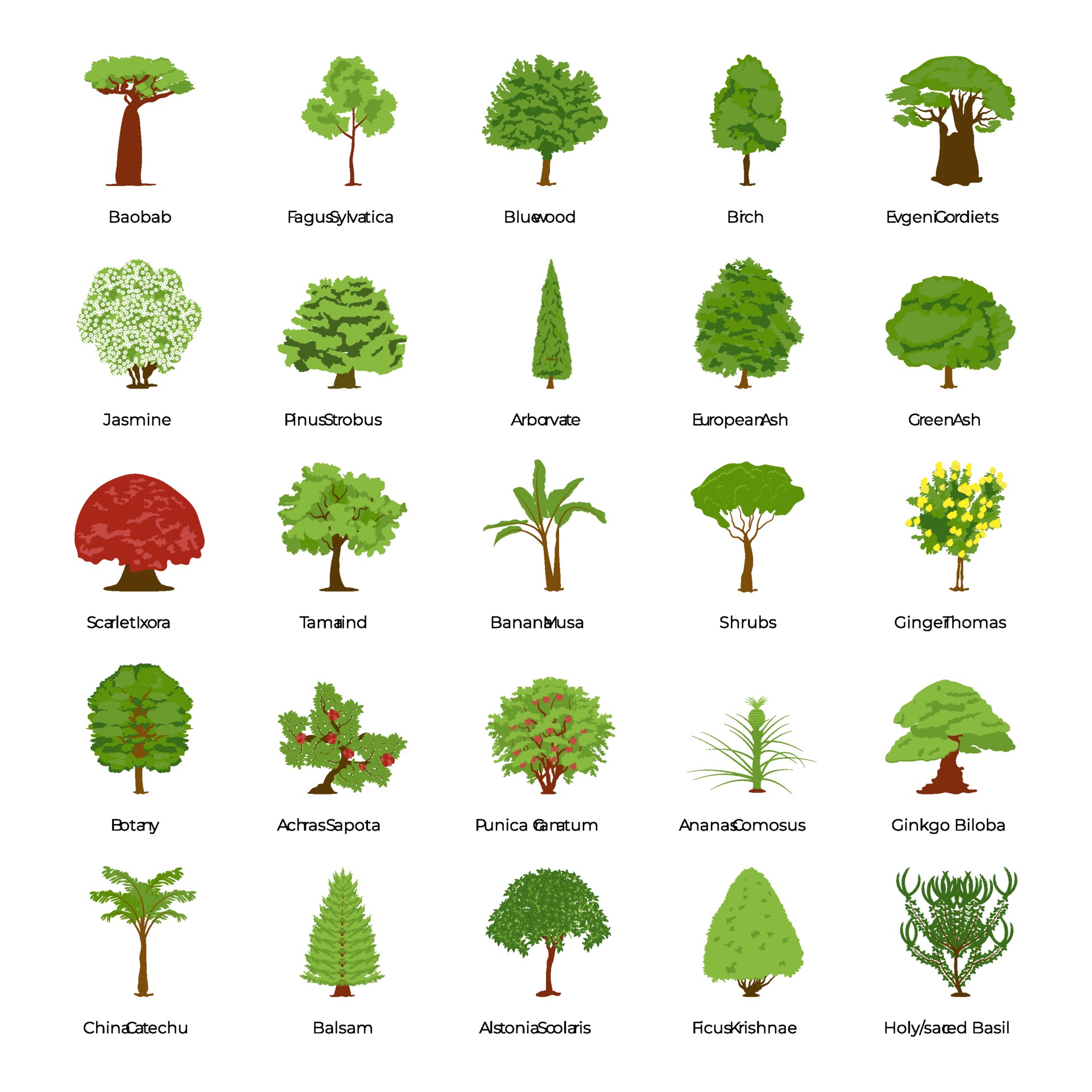 common types of trees 2168916 vector art at vecteezy