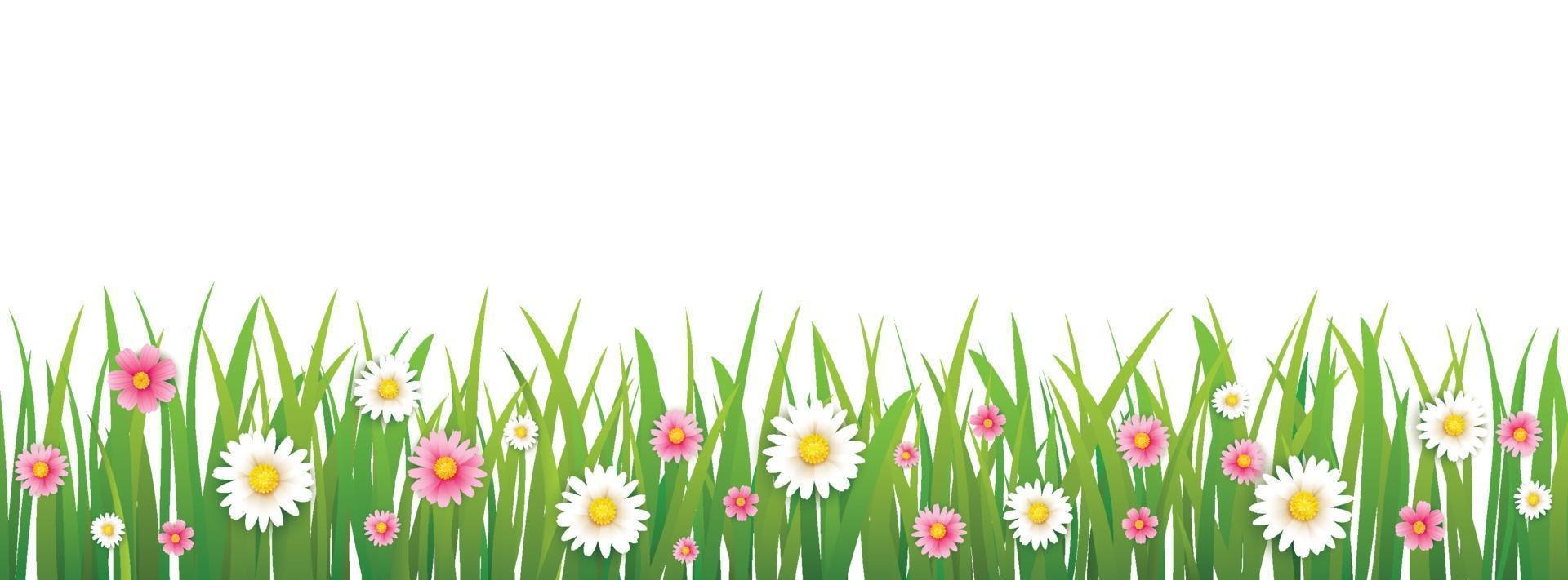 hello spring flower with grass isolated background. vector