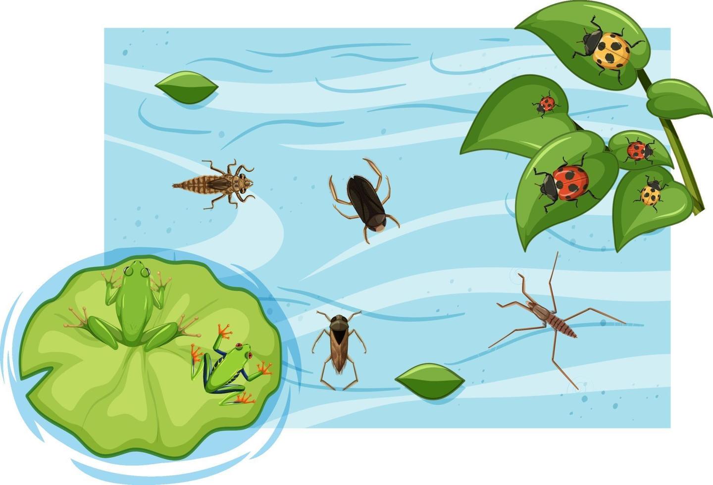 Top view of aquatic insects in the pond vector