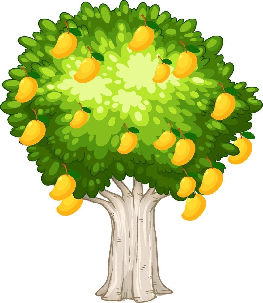 Yellow mango tree isolated on white background vector