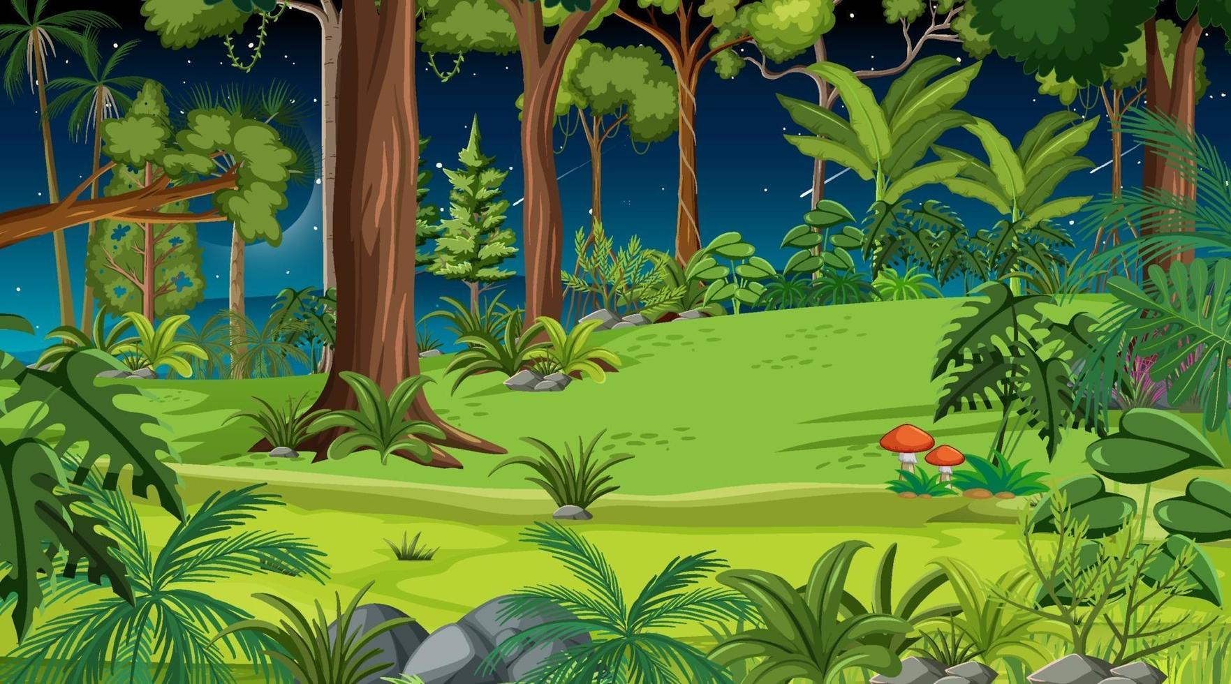 Forest landscape scene at night with many different trees vector