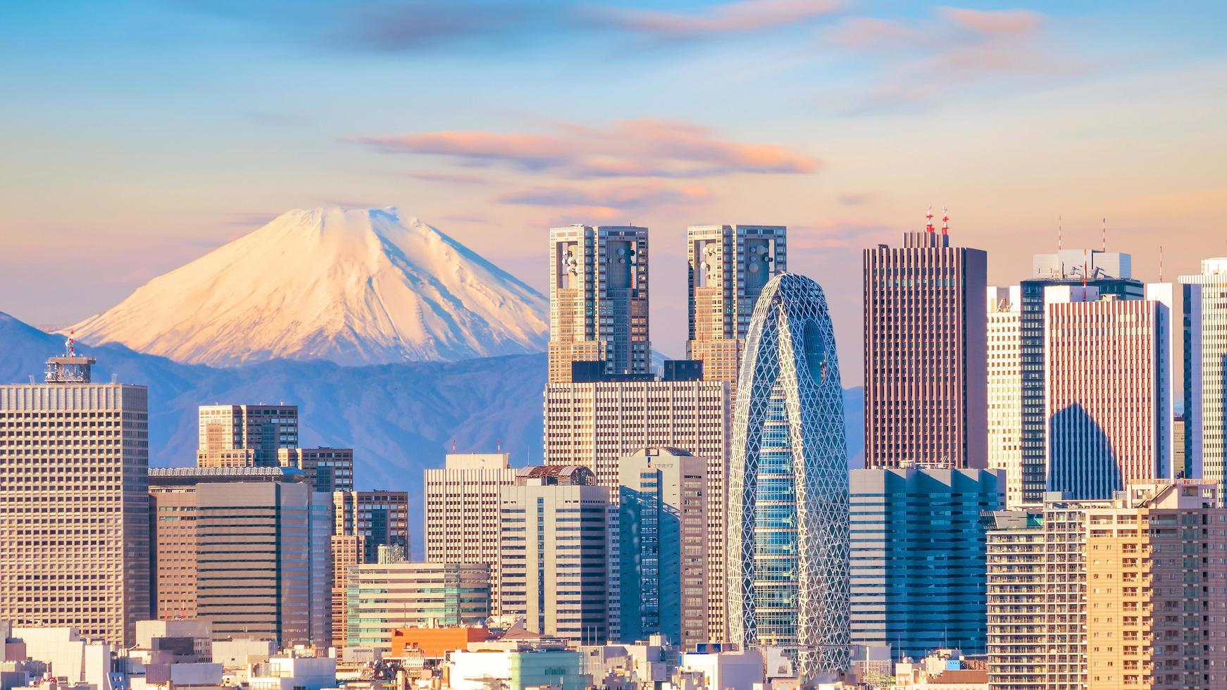 Panorama view of Tokyo skyline and Mountain fuji photo