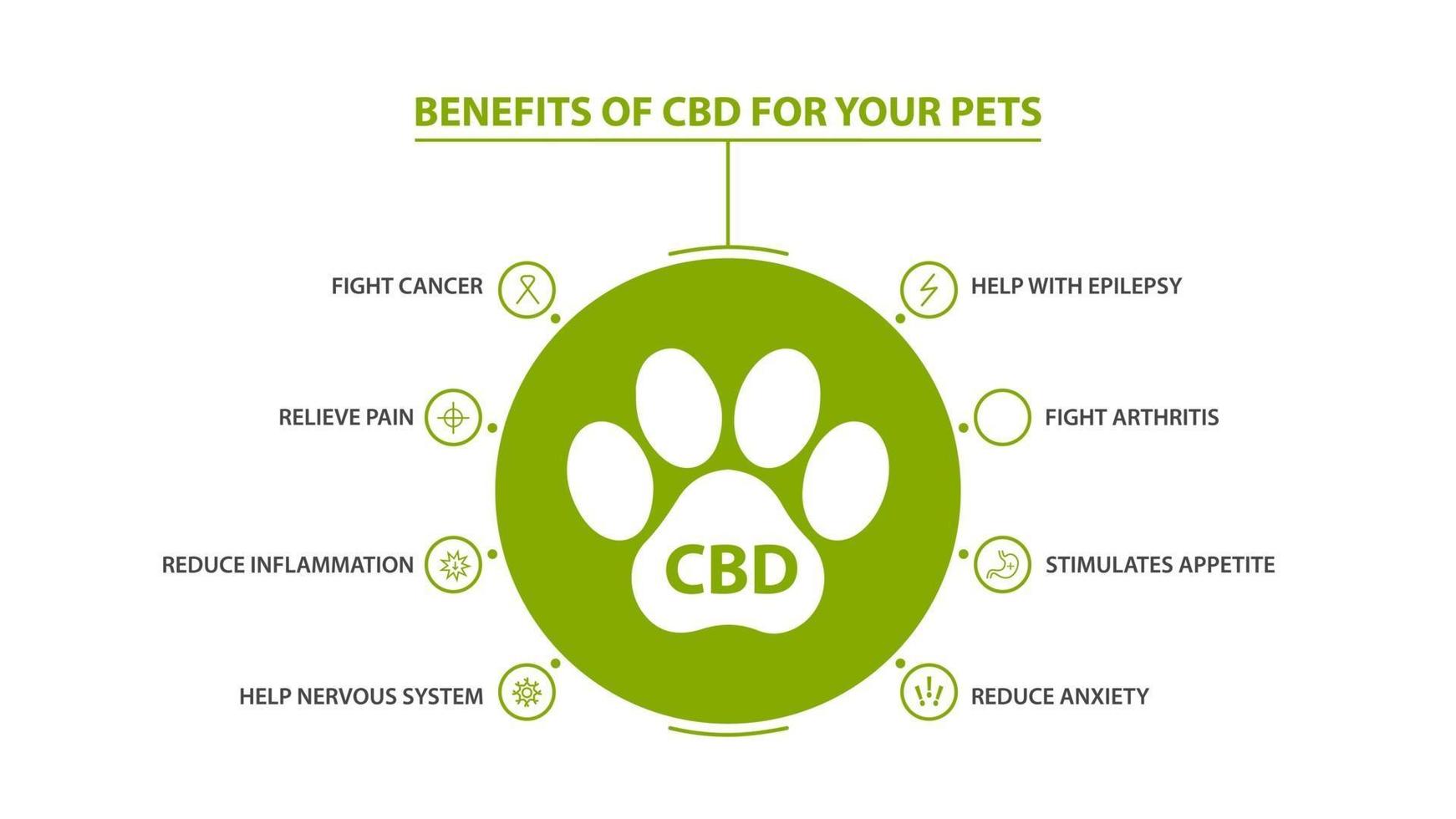 Information poster of Cannabidiol Benefits for your pets with infographic vector