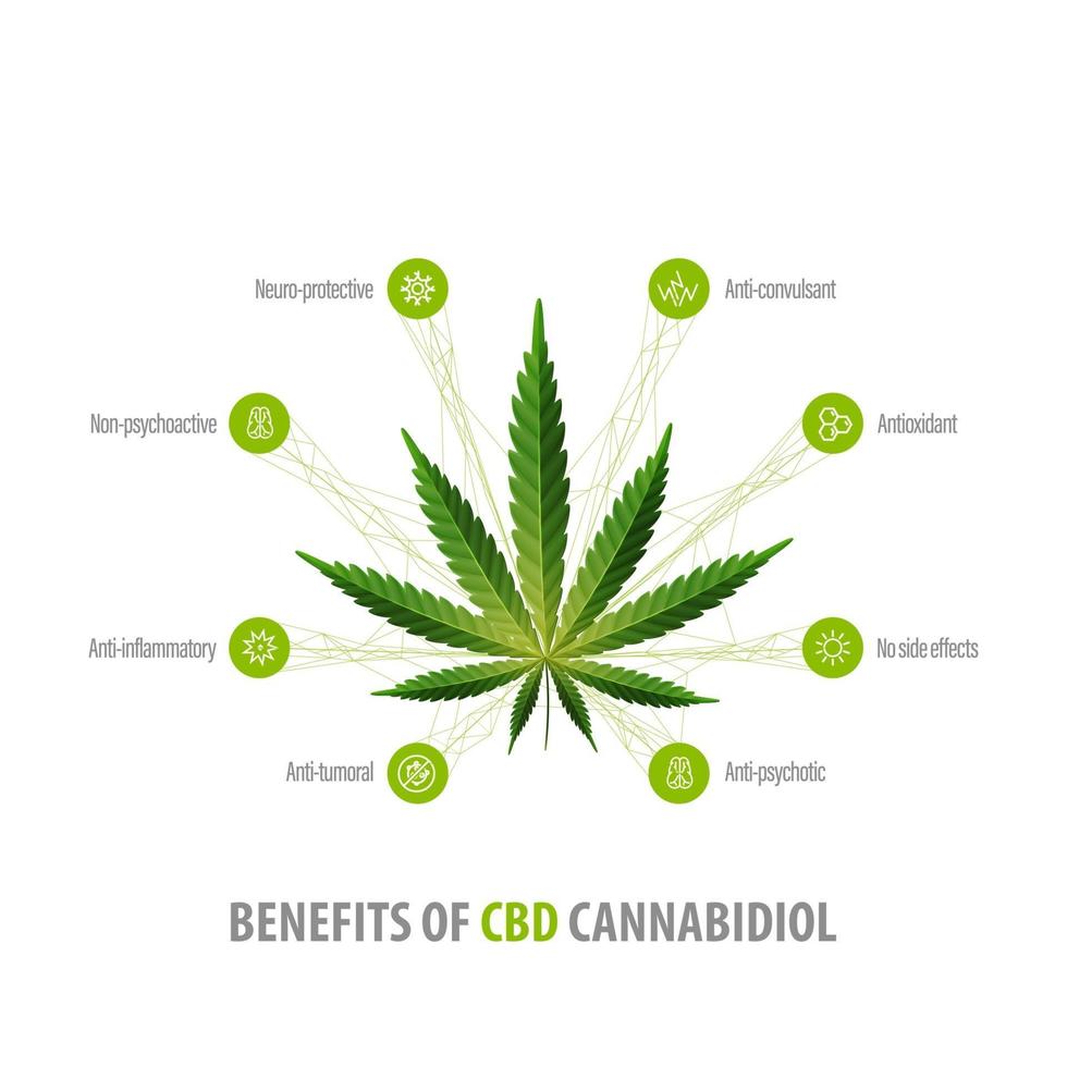 Cannabidiol Benefits, white inphographic poster with icons of benefits and green leafs of hemp vector