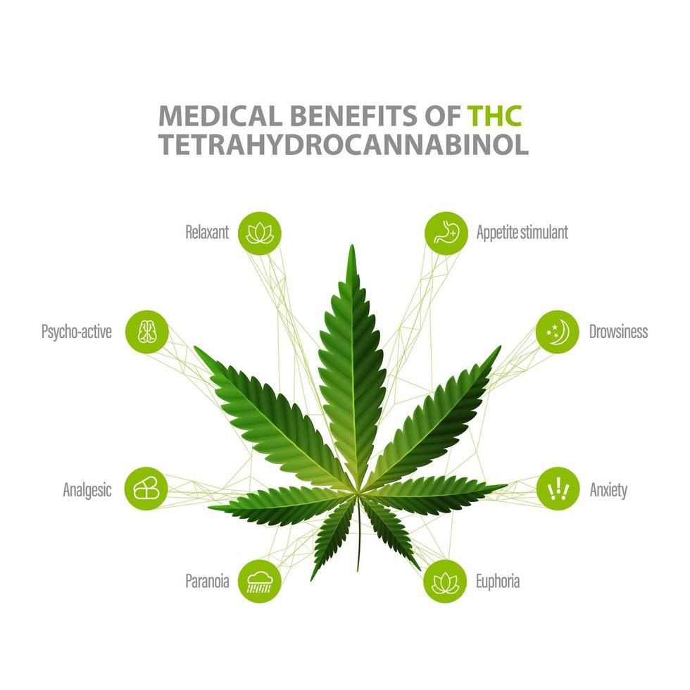 Tetrahydrocannabinol Benefits, white information poster with icons of benefits and green leafs of cannabis vector