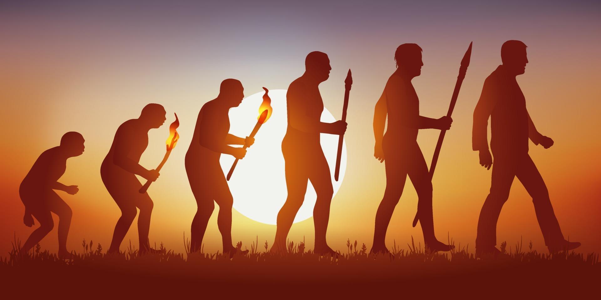 Theory of human evolution vector