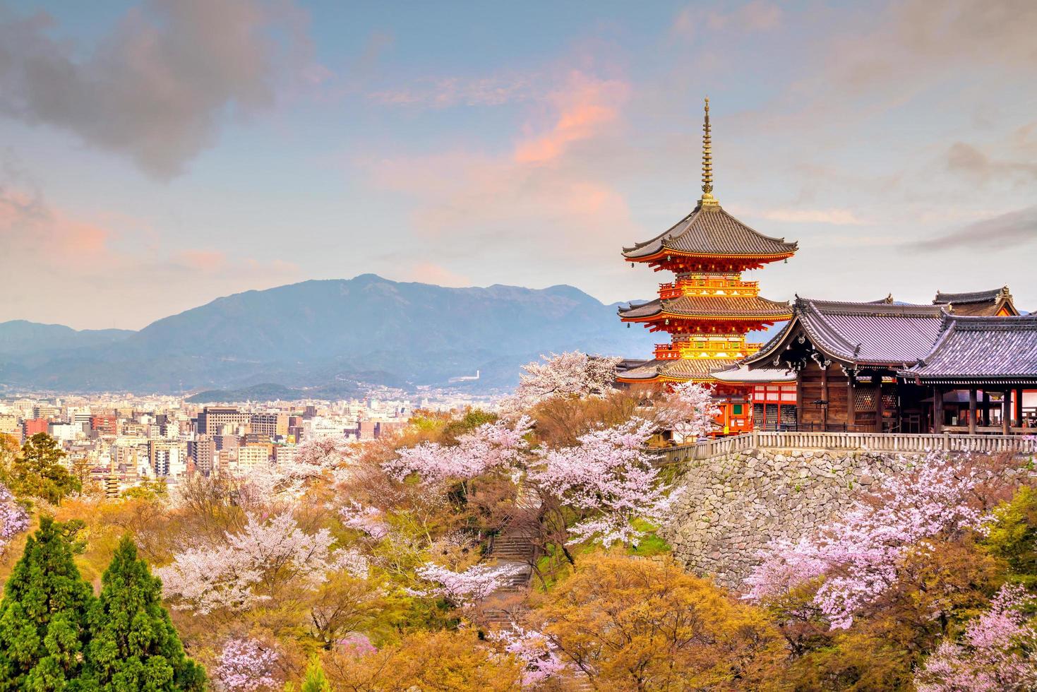 templo kiyomizu-dera y temporada de flor de cerezo primavera en kyoto foto