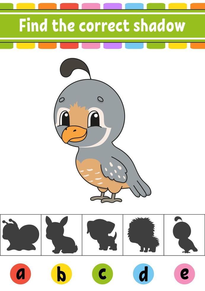 encuentra la codorniz sombra correcta. hoja de trabajo de desarrollo educativo. página de actividad. juego de colores para niños. ilustración vectorial aislada. personaje animado. vector