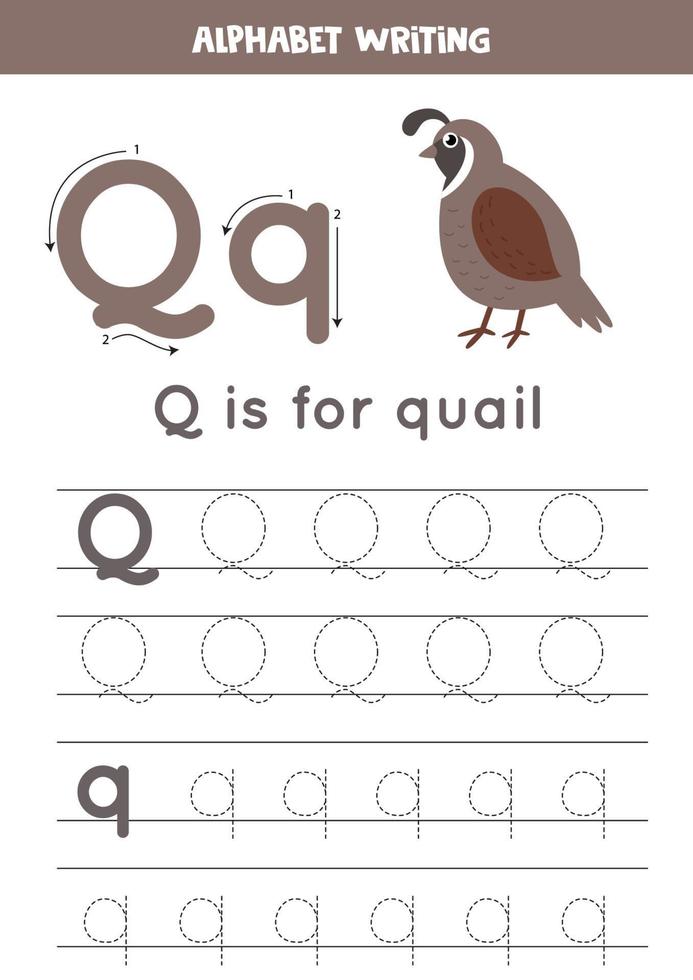 Tracing English alphabet. Letter Q is for quail. vector