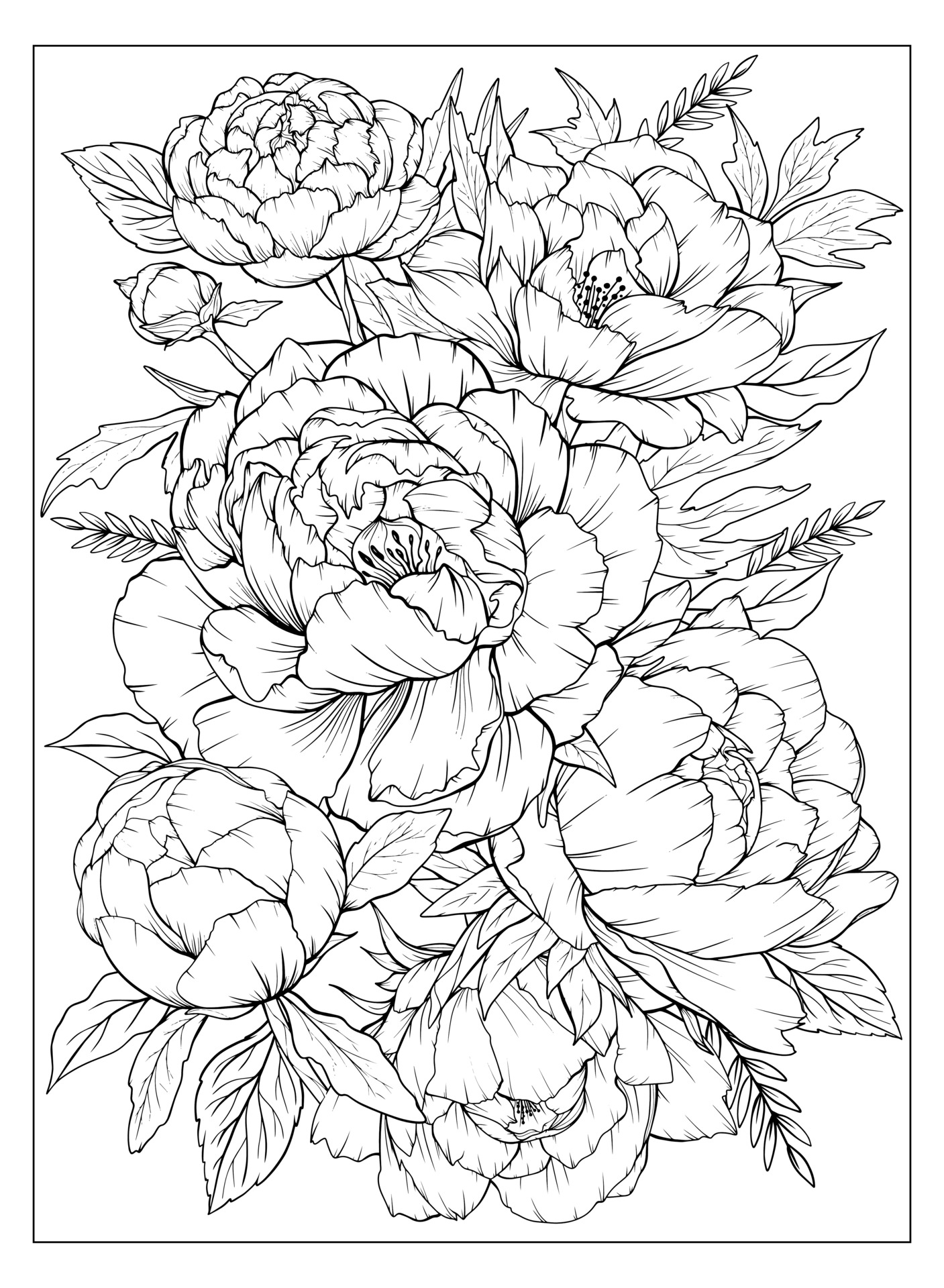 Coloring page with peonies and leaves. Vector page for coloring. Flower ...