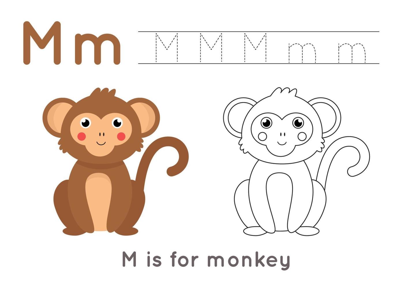 Coloring and tracing page with letter M and cute cartoon monkey. vector