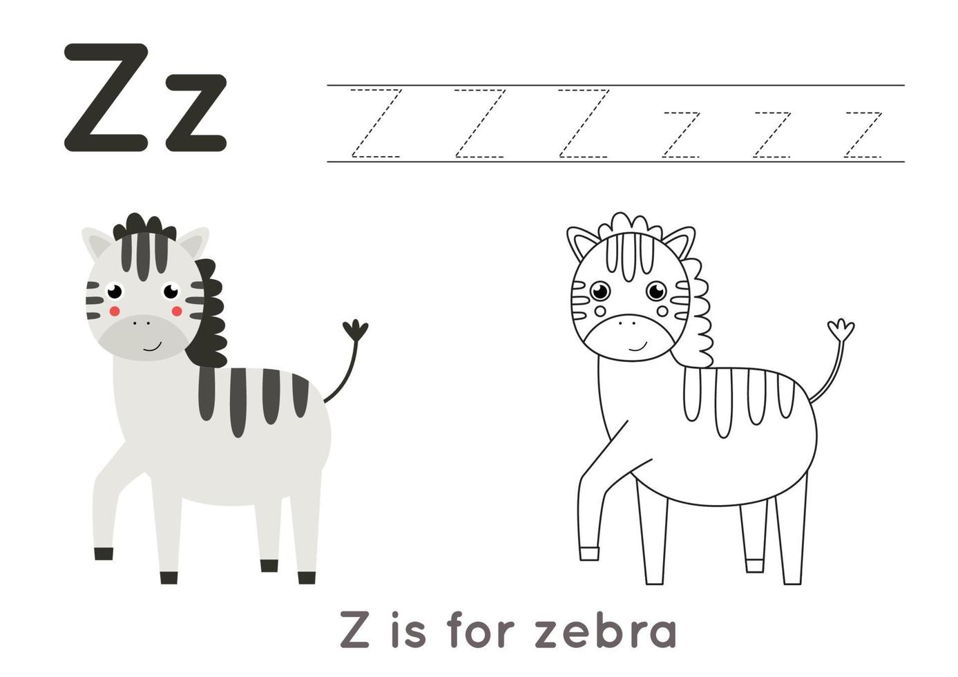Coloring and tracing page with letter Z and cute cartoon zebra. vector