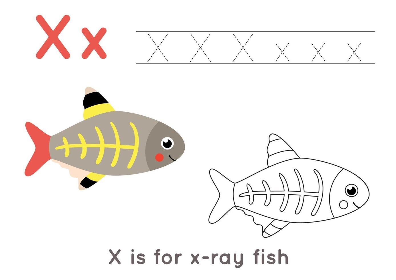 Coloring and tracing page with letter X and cute cartoon x ray fish. vector