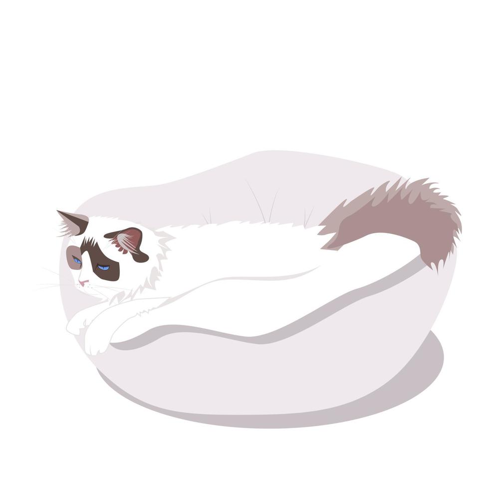 gato siamés esponjoso en la cama vector