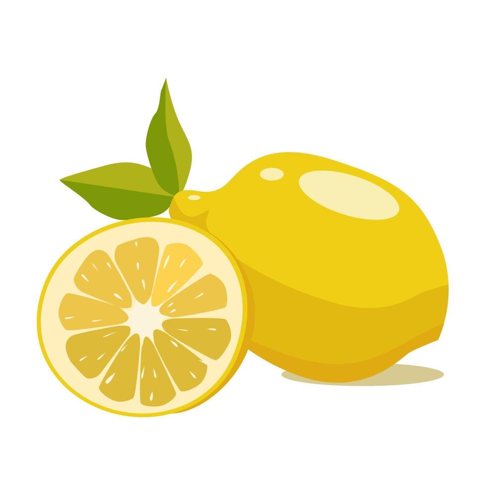 Lemon, a source of vitamin C. Dietary food. Modern vector illustration on a white background