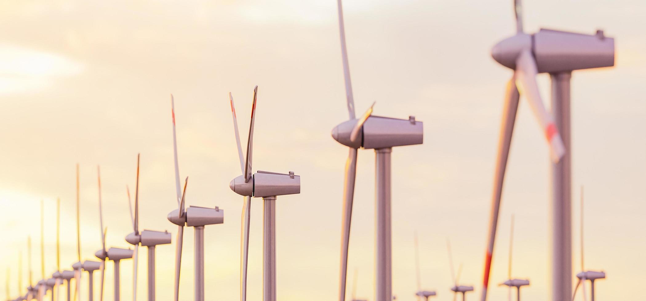 Close-up of many wind turbines in a sunset photo
