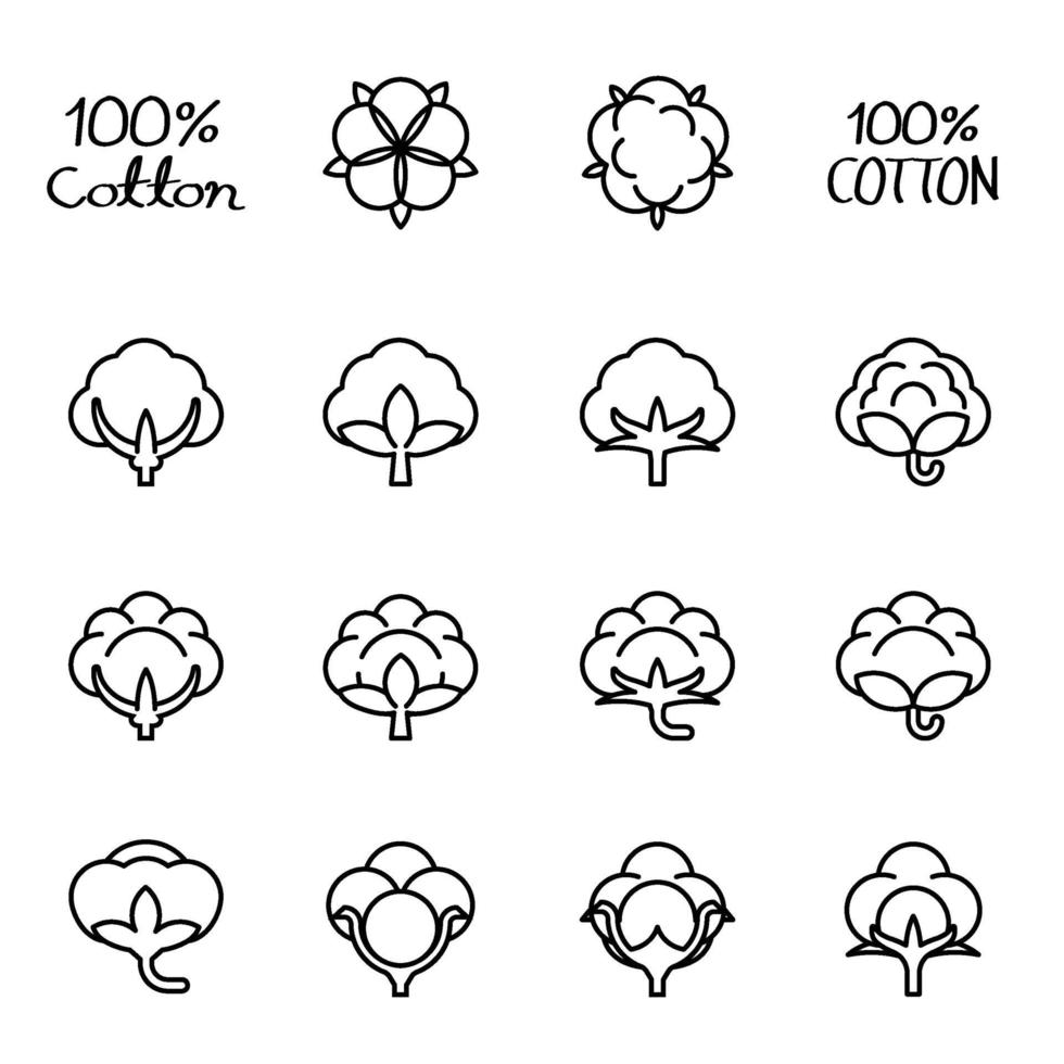 Cotton flower isolated icon vector image.