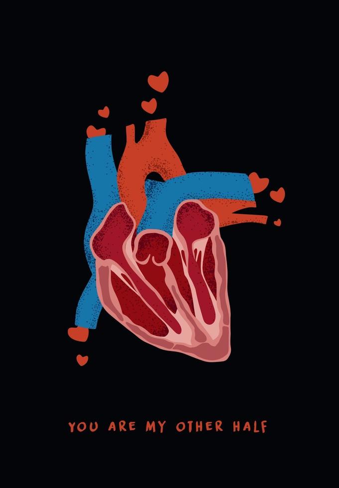 postal del día de San Valentín con corazón anatómico. cartel para el día de san valentín o boda con corazón real y cita sobre el amor. vector