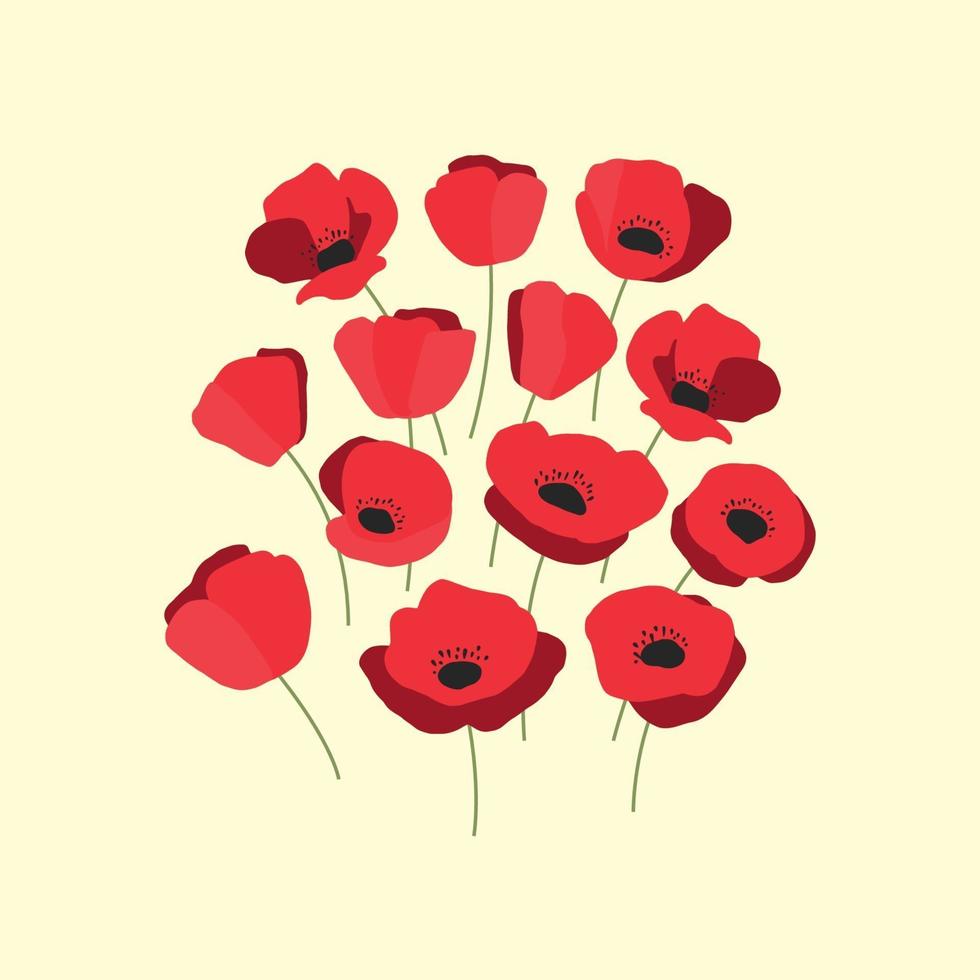 Ilustración vectorial de ramo de amapolas rojas aromáticas vector