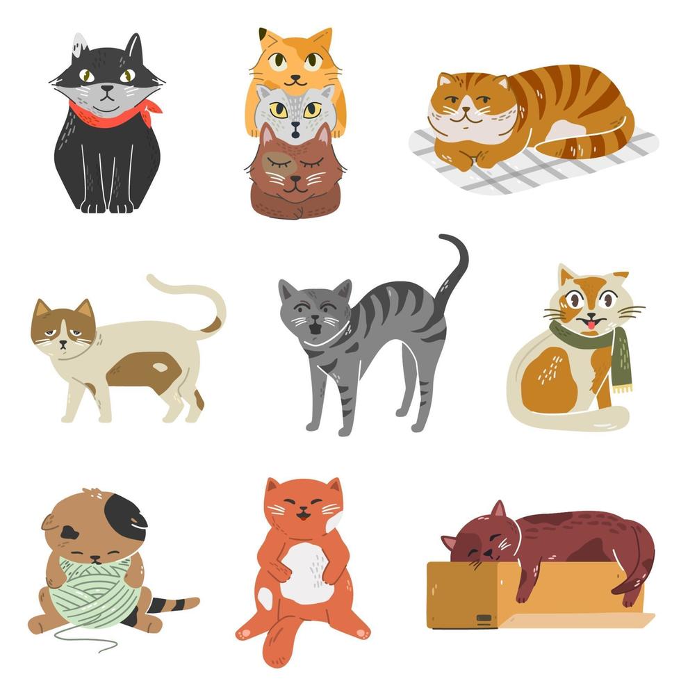 Variety of breeds cats with different poses and emotions. Collection of adorable kittens. vector