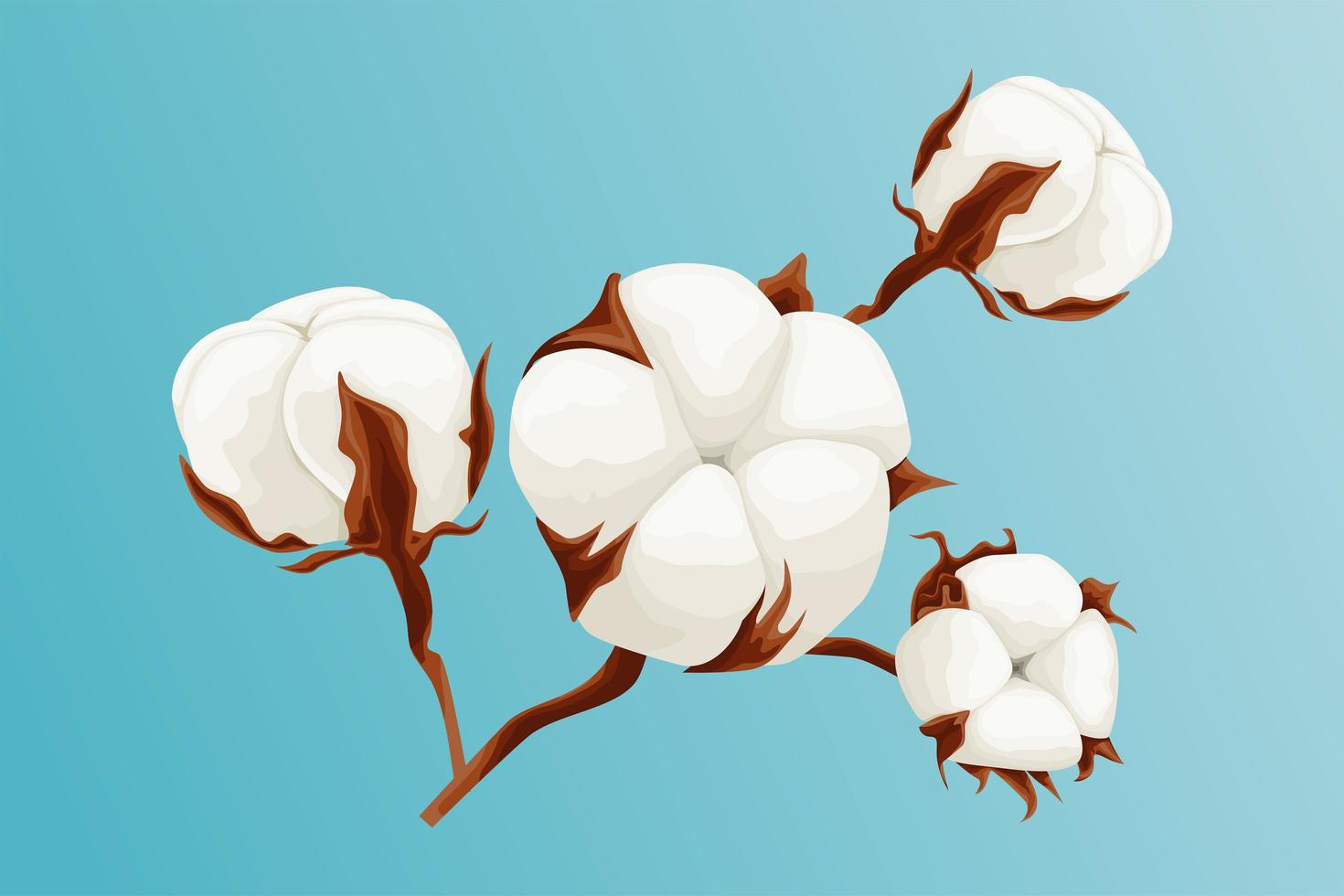 Beautiful cotton branch on blue background vector