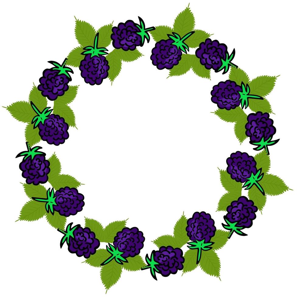 Round frame with blackberries. Circle with forest purple berries. Berries in a circle, rim for design. Form for text. Vector. vector