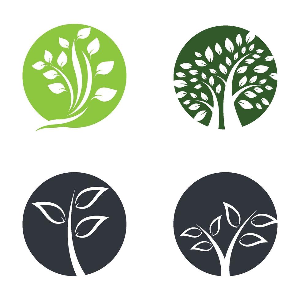 conjunto de diseño de imágenes de logotipo de árbol vector