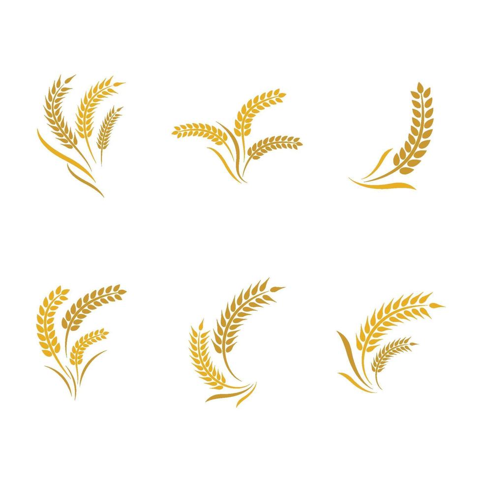 Wheat logo images set vector