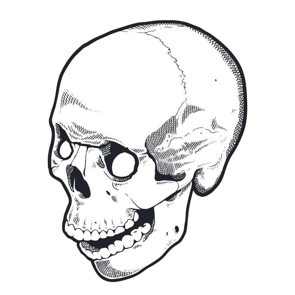 Engraving Style Skull With Open Mouth vector