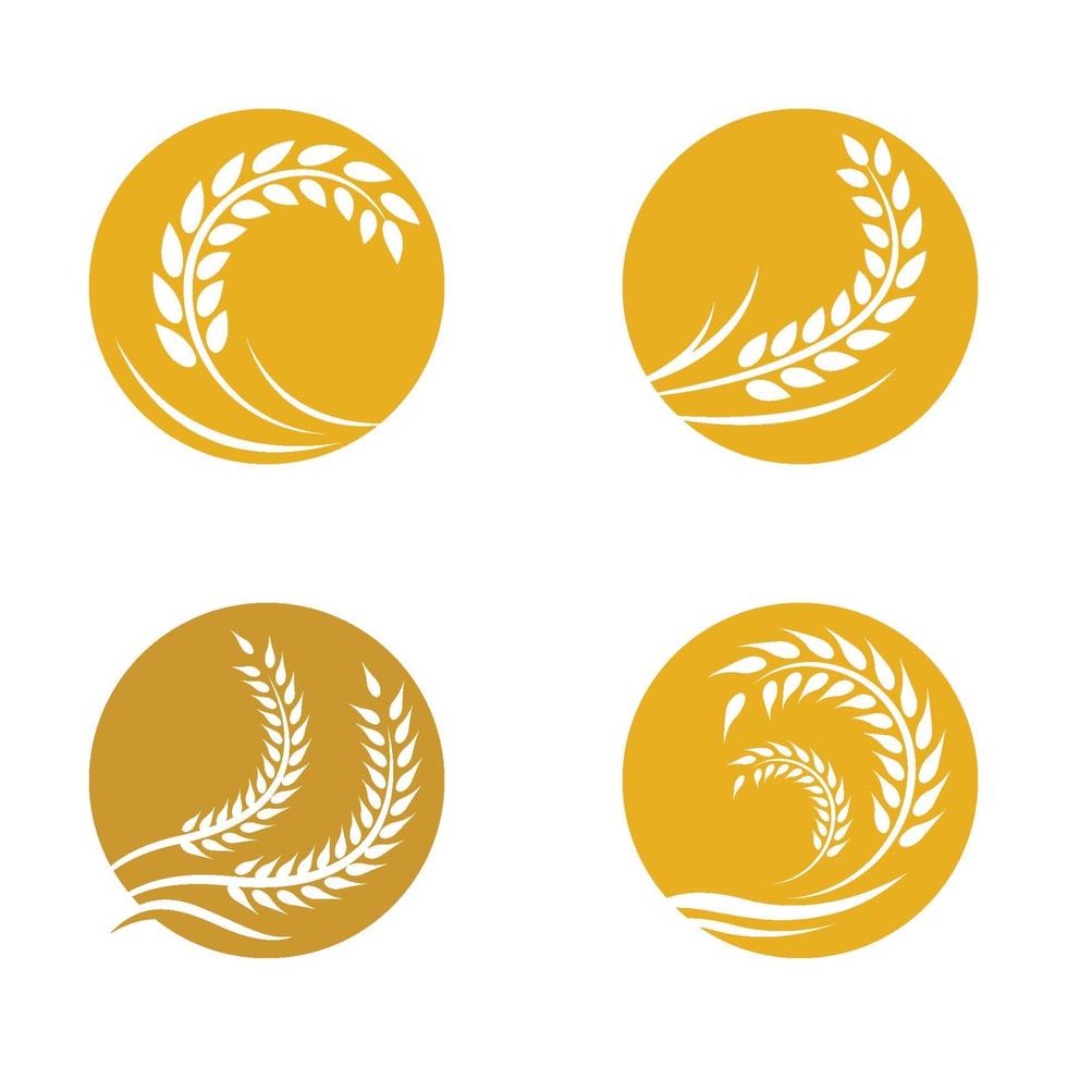 Wheat logo images vector