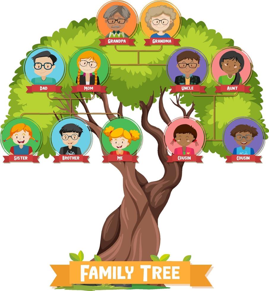 Diagram showing three generation family tree 2174001 Vector Art at Vecteezy