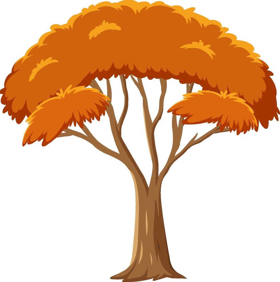 Árbol de otoño aislado sobre fondo blanco. vector