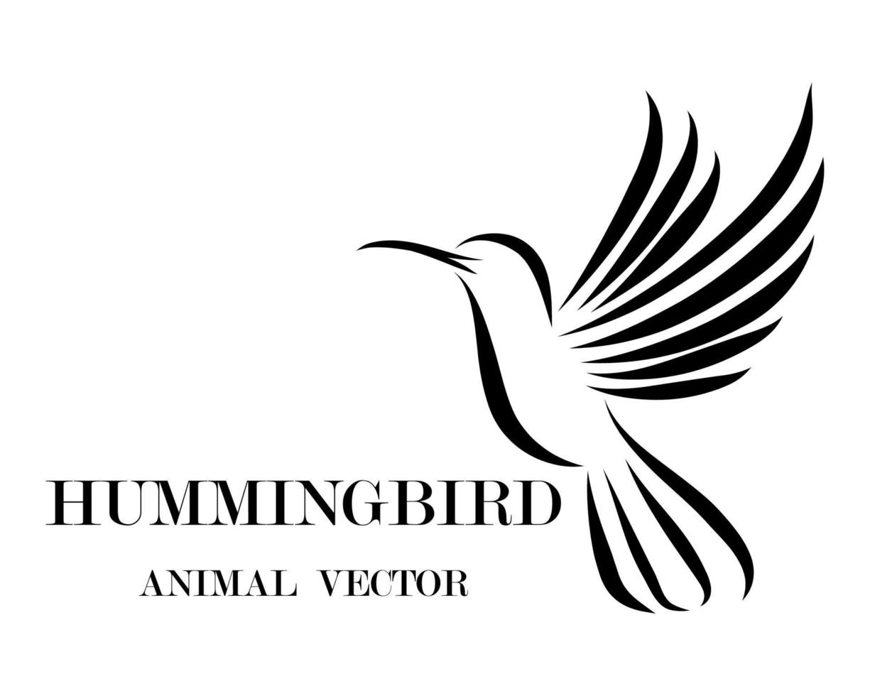 Flying hummingbird line art eps 10 vector