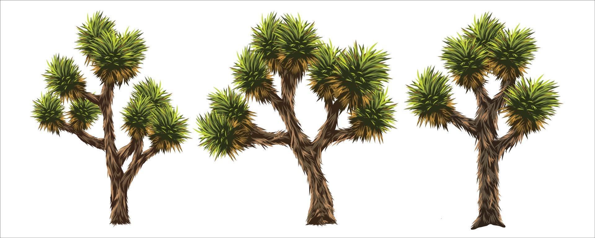 imágenes vectoriales de joshua tree es un árbol en el desierto de américa. vector